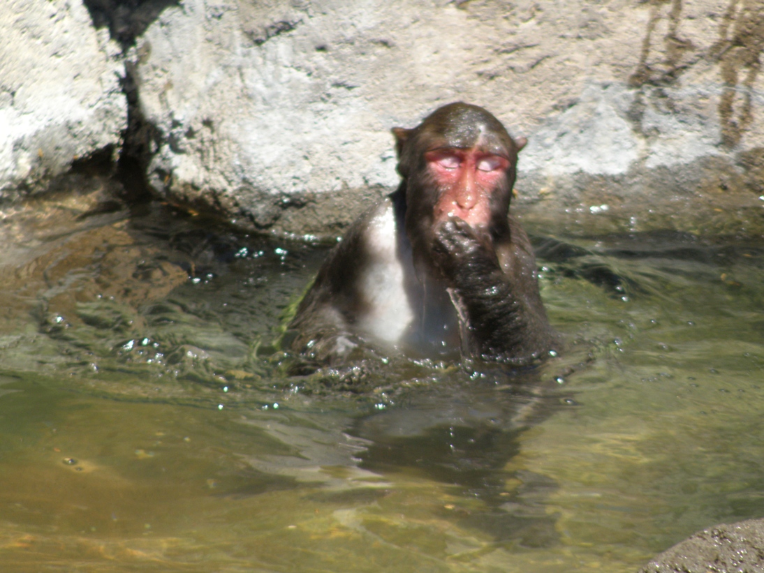 【海猿28】 Chelsea 12V Solenoid Cartridge Valve Assembly 32946312X | FleetPride