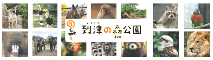 到津の森公園
