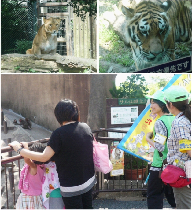 http://www.itozu-zoo.jp/volunteer/blog/20121029mori_guide4.jpg