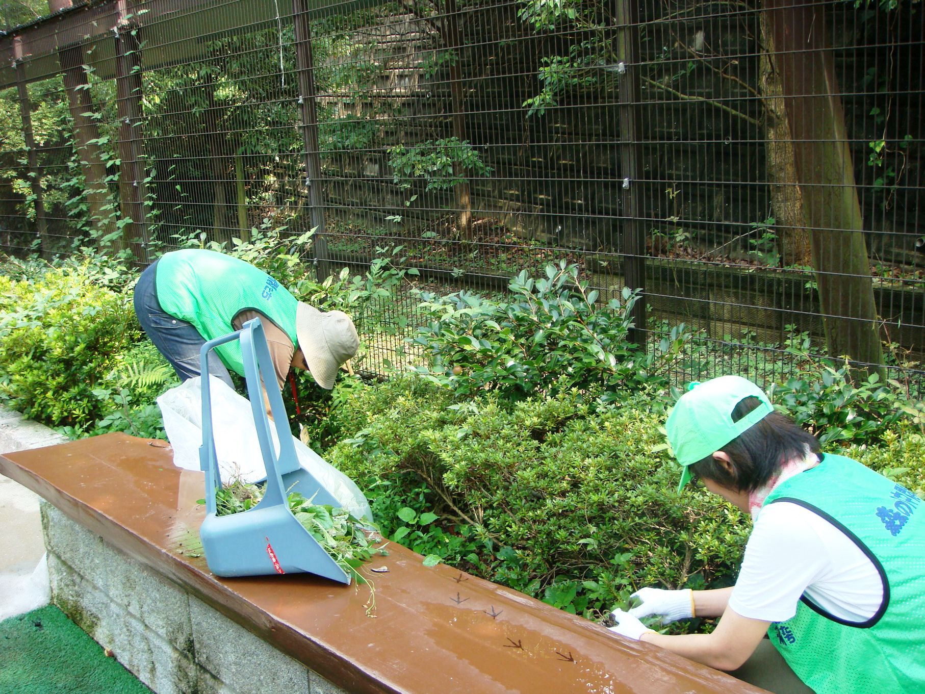 http://www.itozu-zoo.jp/volunteer/blog/images/20120828-2.jpg