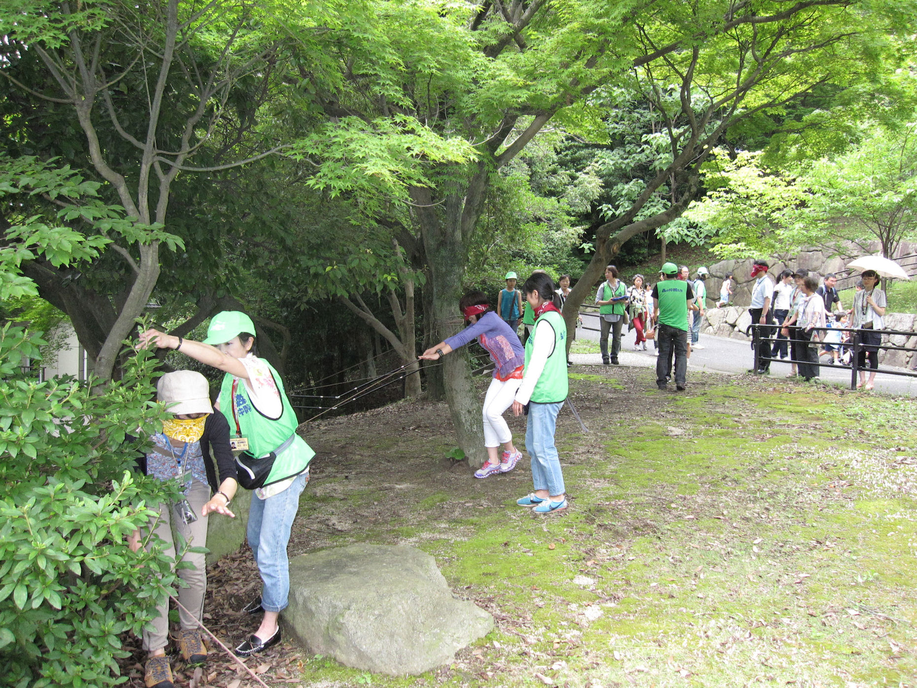 http://www.itozu-zoo.jp/volunteer/blog/images/trail.jpg