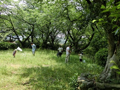 20160628satoyama1.JPG