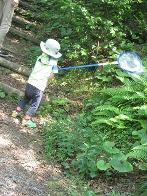 20160628satoyama3.JPG