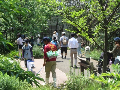 20160628satoyama4.JPG