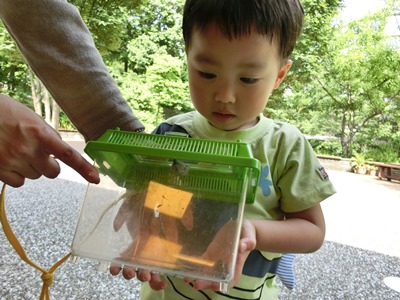 20160628satoyama7.JPG