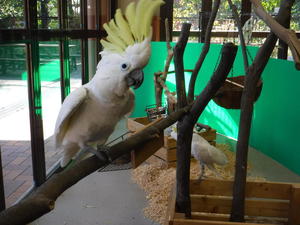 DSCF4867.jpg