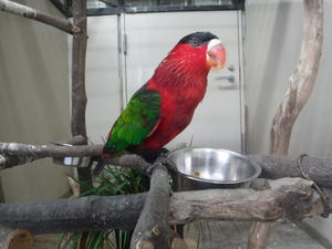 DSCF7619.jpg