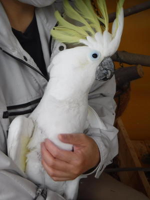 DSCF7534.jpg