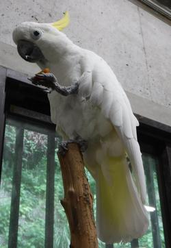 DSCF8546.jpg
