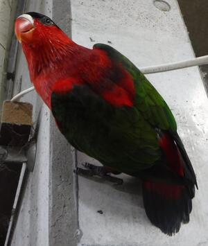 DSCF5350.jpg