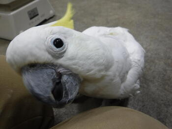 DSCF7358.jpg