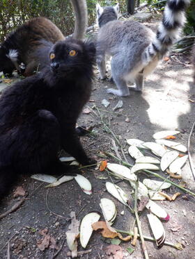 DSCF5269.jpg
