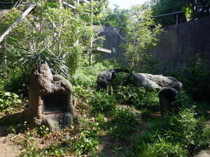 DSCF6731.jpg
