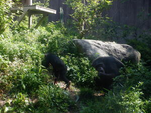 DSCF6734.jpg