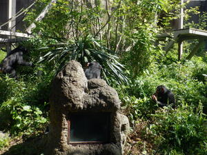DSCF6735.jpg