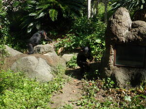 DSCF6741.jpg