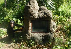 DSCF6742.jpg