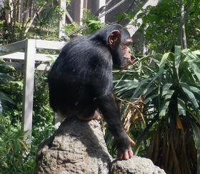 DSCF6778.jpg