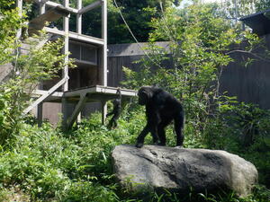 DSCF6780.jpg