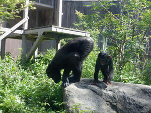 DSCF6781.jpg