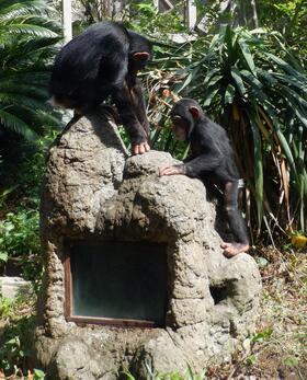 DSCF6788.jpg