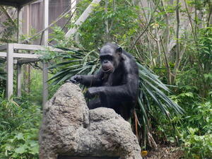 DSCF6977.jpg
