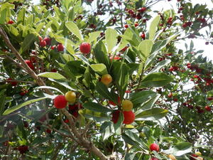 DSCF8234.jpg