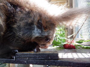 DSCF8271.jpg