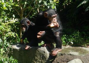 DSCF6746.jpg