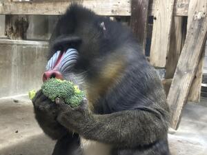 IMG_1823.jpeg