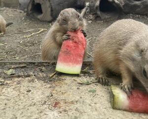 かぶってる？.jpg