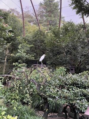 IMG_2162.jpeg