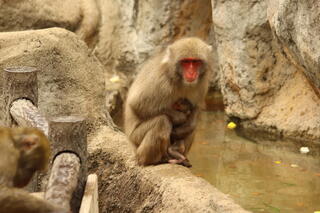 IMG_8651.jpg