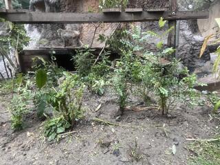 IMG_2483.jpeg