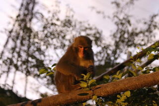 IMG_2662.jpg