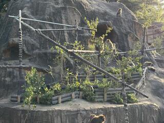 IMG_4935.jpeg