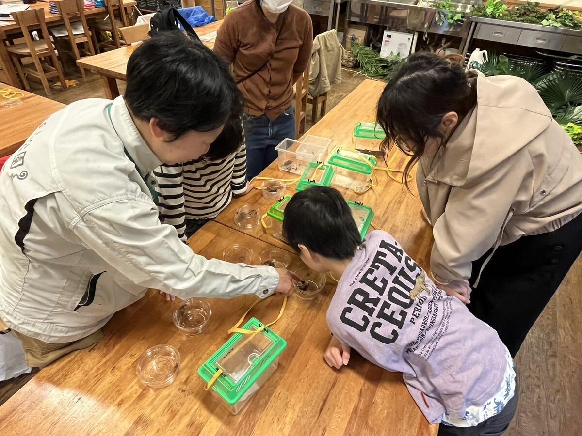 調査隊
