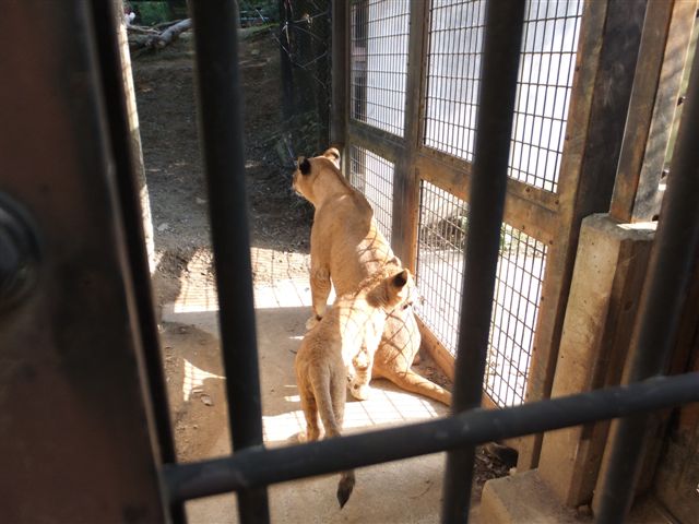 はじめました４.JPG