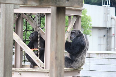 キラクラ18歳バースデイ  30　130729　.jpg