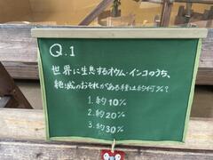クイズ写真.jpeg