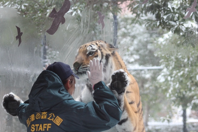 ミライと雪１１.jpg