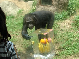 氷のプレゼント⑩ 120726.jpg