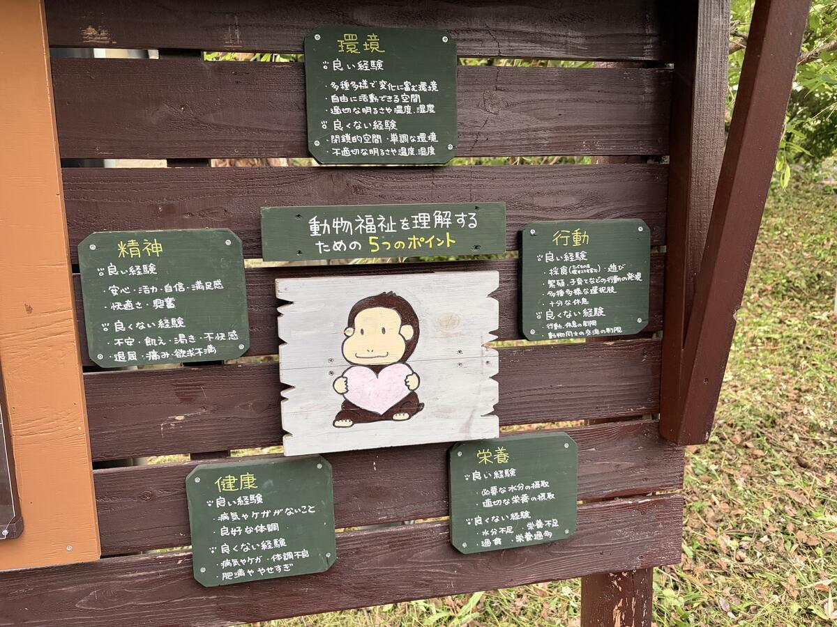 https://www.itozu-zoo.jp/blogs/animal/images/%E7%A6%8F%E7%A5%89%E7%90%86%E8%A7%A3%E3%81%AE%E3%81%9F%E3%82%81%E3%81%AE.jpg