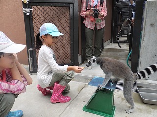 飼育員体験⑫　130830.jpg