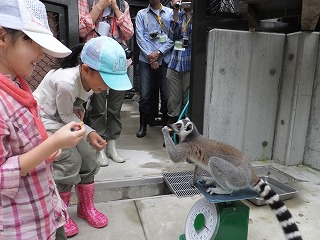 飼育員体験⑬　130830.jpg