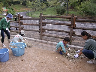 飼育員体験⑯　130830.jpg