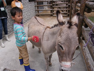 飼育員体験23　130830.jpg