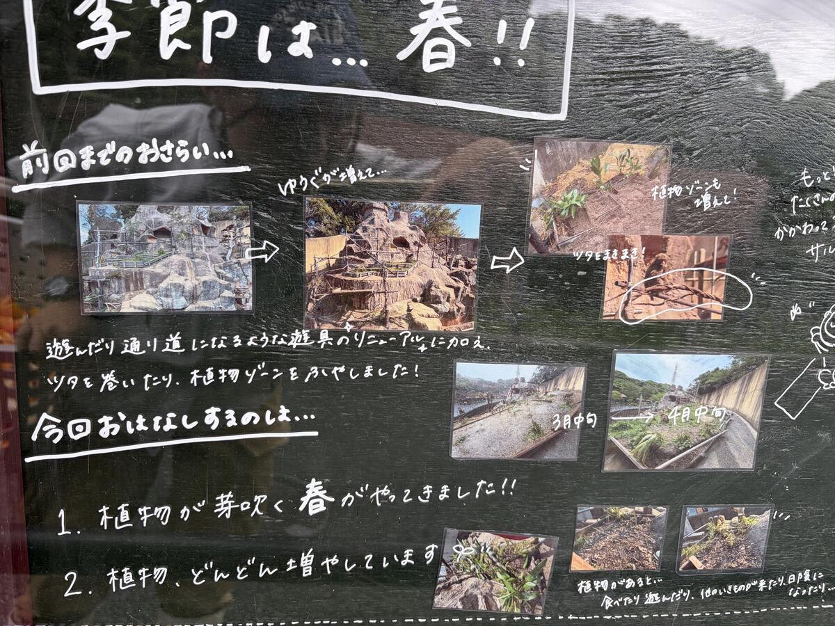 https://www.itozu-zoo.jp/blogs/animal/images/08ac3d69c5fc92cea8449bce8e917d2b6311d248.jpg