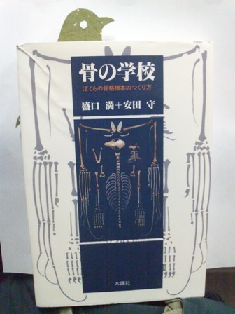 20100306142228.jpg