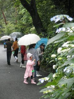 2011.6.13第３回SZK②.JPG